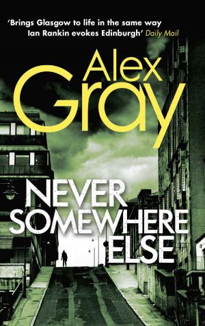 Cover of the book Never Somewhere Else by Brett Anderson
