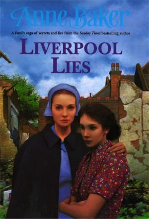 Cover of the book Liverpool Lies by Simon Scarrow
