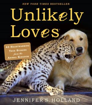 Cover of Unlikely Loves