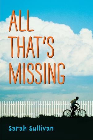 Cover of the book All That's Missing by Megan McDonald