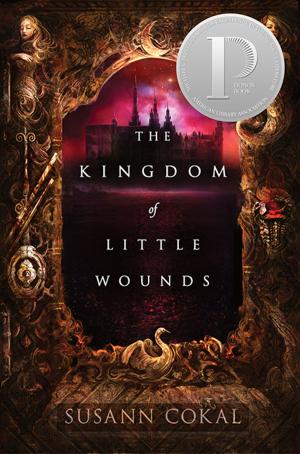 Cover of the book The Kingdom of Little Wounds by David Ezra Stein