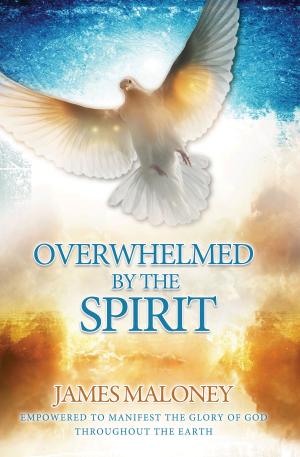 Cover of the book Overwhelmed by the Spirit by Kenneth Zeigler