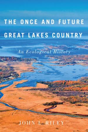 Cover of the book The Once and Future Great Lakes Country by Luigi Giussani, John E. Zucchi