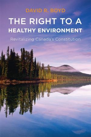 Cover of the book The Right to a Healthy Environment by Harald Bauder