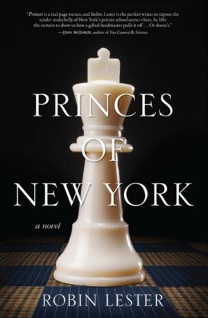 Cover of the book Princes of New York by David Stevenson