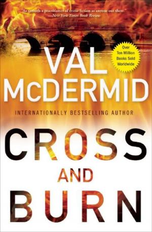 Cover of the book Cross and Burn by Joan Halifax