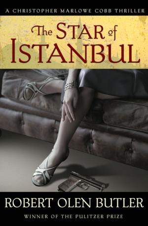 Cover of the book The Star of Istanbul by Frank Deford
