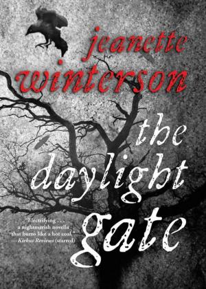 Cover of the book The Daylight Gate by Christopher G. Moore