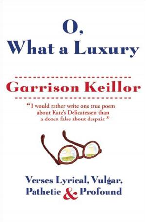 Cover of the book O, What a Luxury by Nancy Kricorian