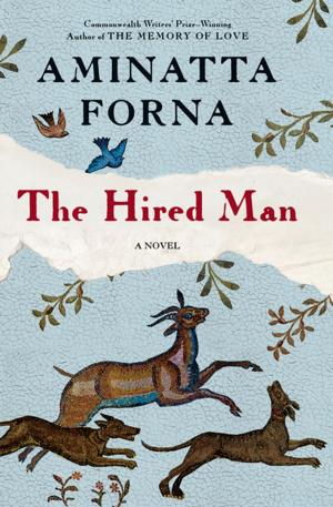 bigCover of the book The Hired Man by 