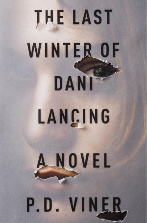 Cover of the book The Last Winter of Dani Lancing by Jem Jackson