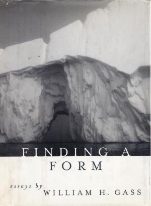 Book cover of Finding a Form