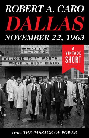 Book cover of Dallas, November 22, 1963