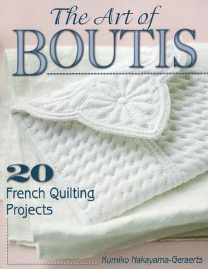 Cover of the book The Art of Boutis by Sandy Allison, Ted Walker