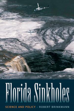 Cover of the book Florida Sinkholes by David A. Dorsey