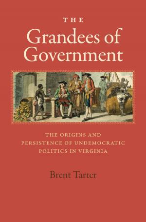 Cover of the book The Grandees of Government by Robin Blaetz