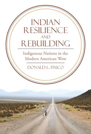 Book cover of Indian Resilience and Rebuilding