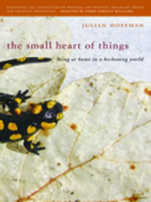 Book cover of The Small Heart of Things