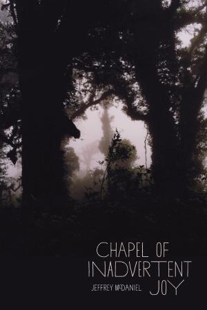 Cover of the book Chapel of Inadvertent Joy by Martin V. Melosi