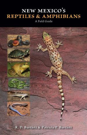 Cover of the book New Mexico's Reptiles and Amphibians by Sue Boggio, Mare Pearl