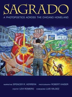 Cover of the book Sagrado by Sarah Viren