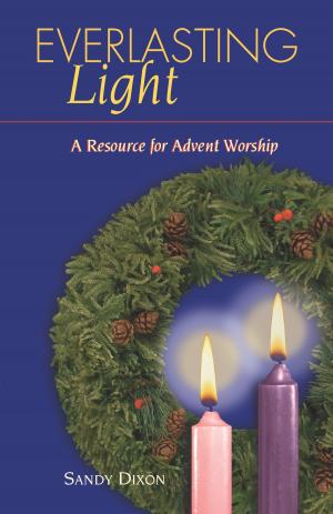 Cover of the book Everlasting Light by Jim Still-Pepper