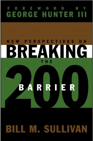 Cover of the book New Perspectives on Breaking the 200 Barrier by Jenni Monteblanco
