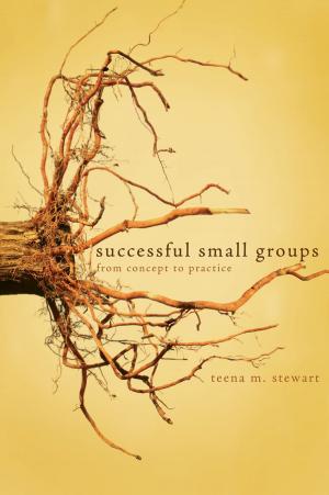 Cover of the book Successful Small Groups by Stéphane Tibi