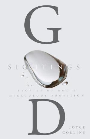 Cover of the book God Sightings by Oord, Thomas, Jay
