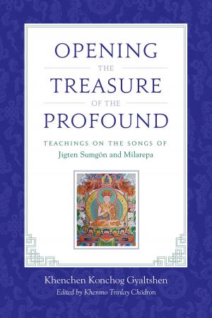 Cover of the book Opening the Treasure of the Profound by Chogyam Trungpa