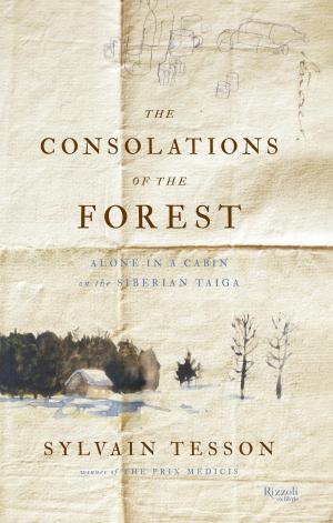 Book cover of The Consolations of the Forest