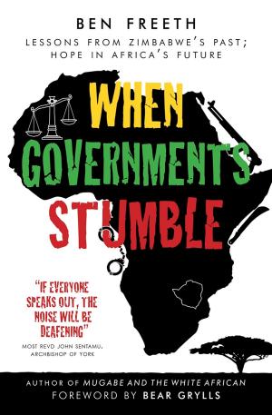 Cover of the book When Governments Stumble by Wes Richards