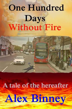 Cover of the book One Hundred Days Without Fire by Heqi Wang