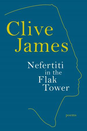 Cover of the book Nefertiti in the Flak Tower: Poems by Jan Morris
