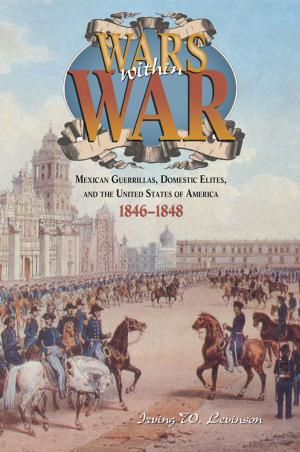 Cover of the book Wars Within War by Win Blevins