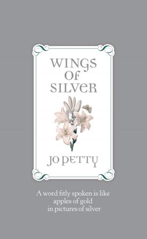 Cover of the book Wings of Silver by Paula Finn