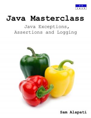 Cover of the book Java Masterclass: Java Exceptions, Assertions and Logging by Ahmad Rizki