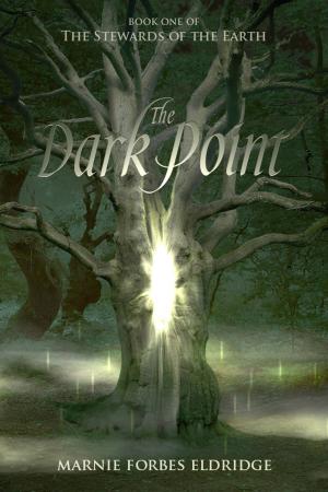 Cover of the book The Dark Point by Andrea Bannert