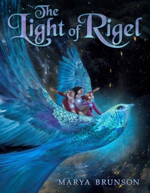 Book cover of The Light of Rigel
