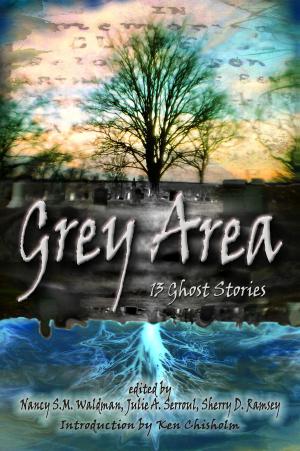 Book cover of Grey Area: 13 Ghost Stories