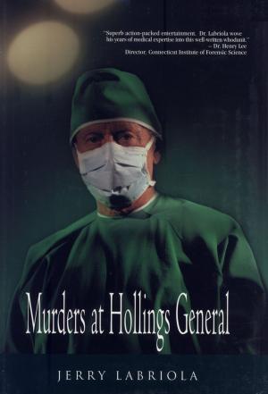 Cover of the book Murders at Hollings General by WD James