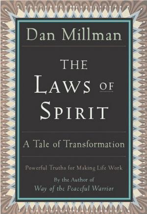 Cover of the book The Laws of Spirit by Barry B Scherr, Jonathan Lipman