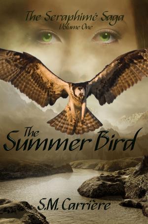 Cover of the book The Summer Bird by Douglas Brown