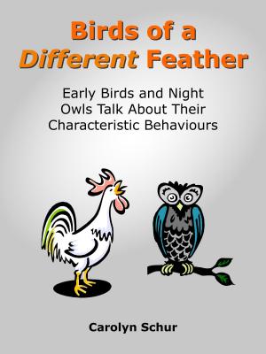 Cover of the book Birds of a Different Feather by Joe Rawlinson