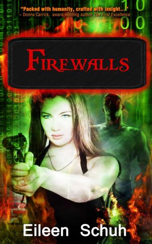 Cover of Firewalls
