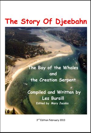 bigCover of the book The Story Of Djeebahn by 