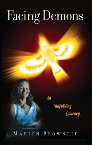 Cover of the book Facing Demons by Reverend Lelia Burgess