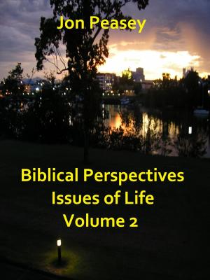 Book cover of Biblical Perspectives Issues of Life Volume 2