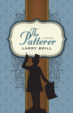 Book cover of The Patterer