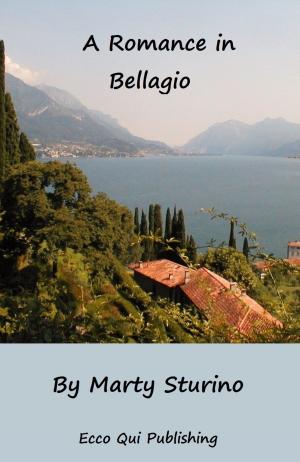 Cover of the book A Romance in Bellagio by Ruth Richert Jones